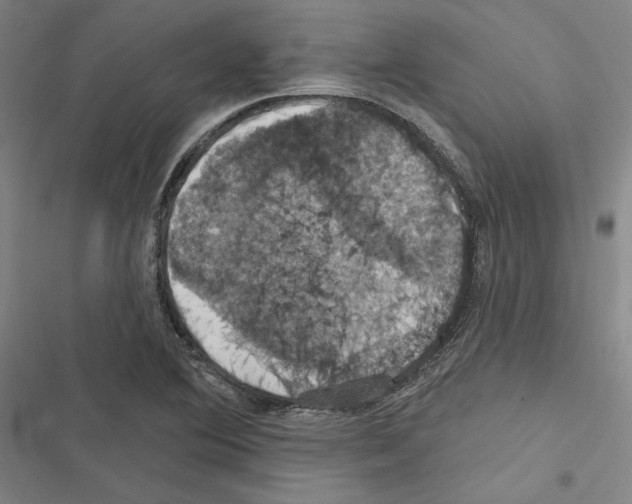 X0000116491364201001201354