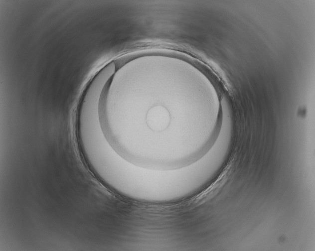 X0000116491365201001201354