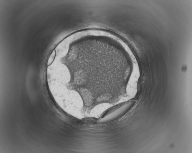 X0000116491367201001201354