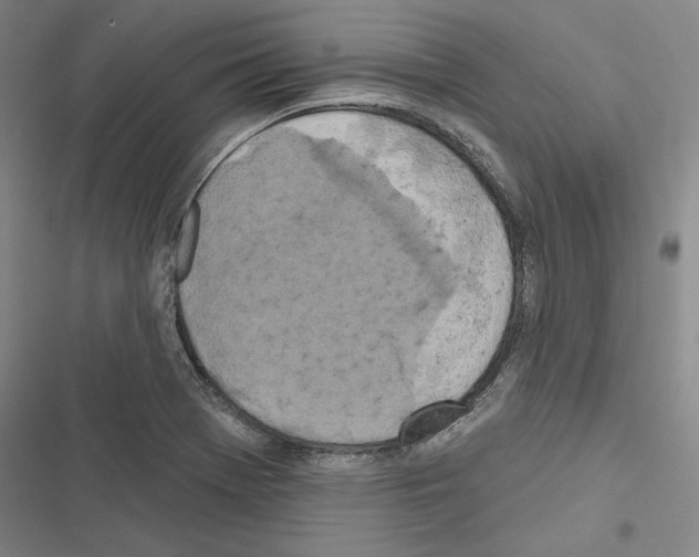 X0000116491369201001201354