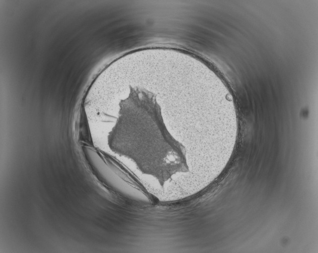 X0000116491371201001201354