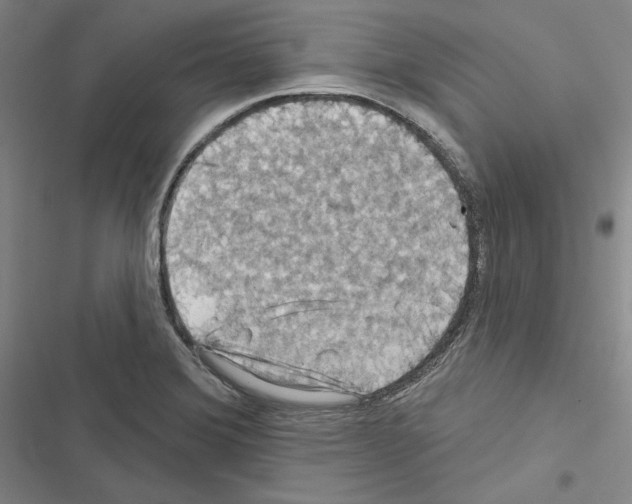 X0000116491372201001201354