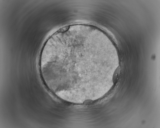 X0000116491373201001201354