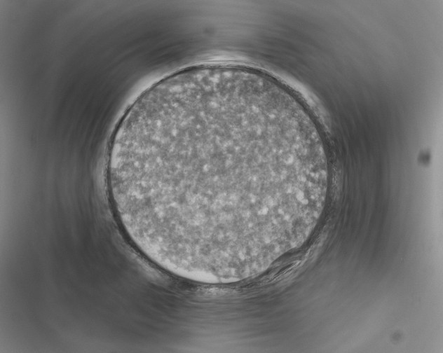 X0000116491374201001201354