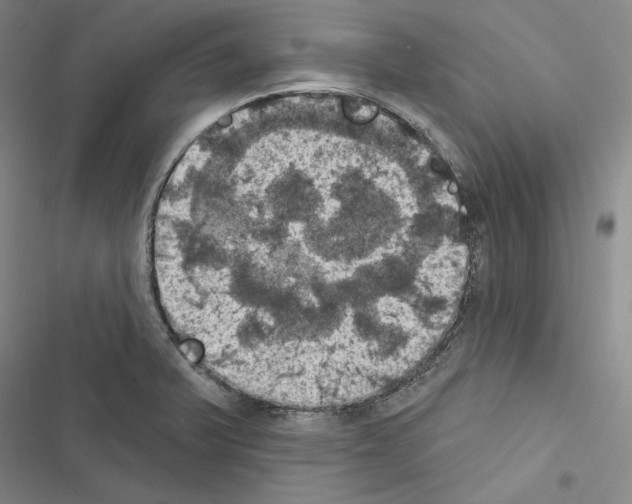 X0000116491375201001201354