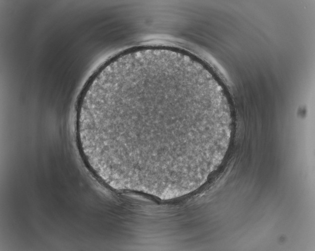 X0000116491376201001201354