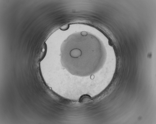 X0000116491377201001201354