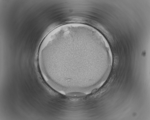 X0000116491378201001201354