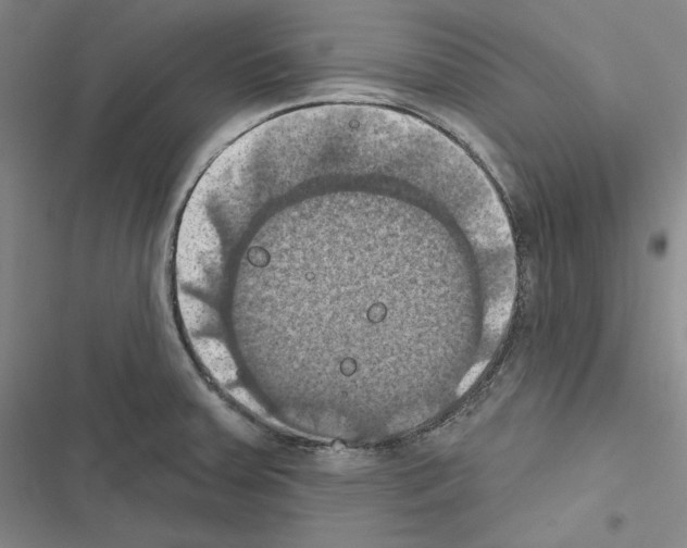 X0000116491379201001201354