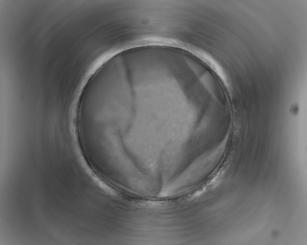 X0000116491381201001201354