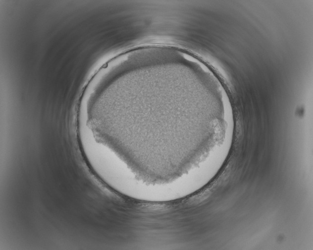 X0000116491382201001201354