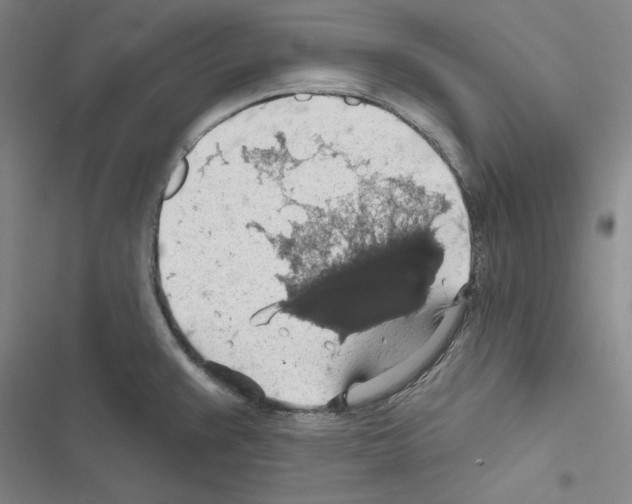 X0000116491383201001201354