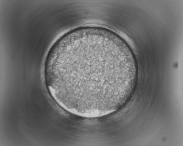 X0000116491384201001201354