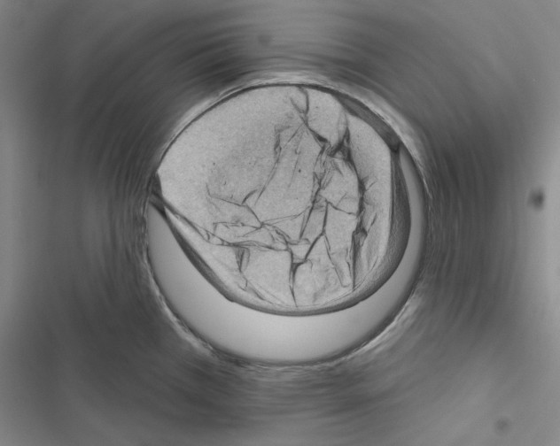 X0000116491385201001201354