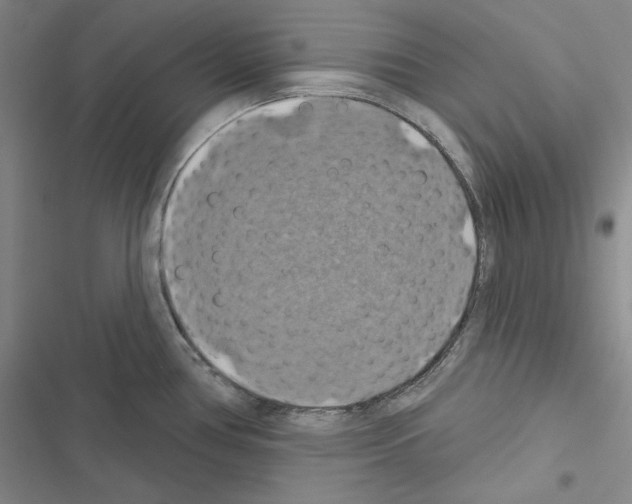 X0000116491386201001201354