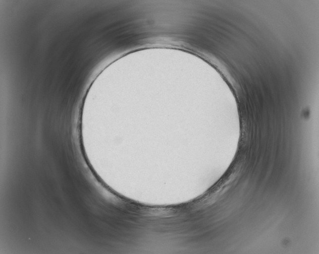 X0000116491387201001201354