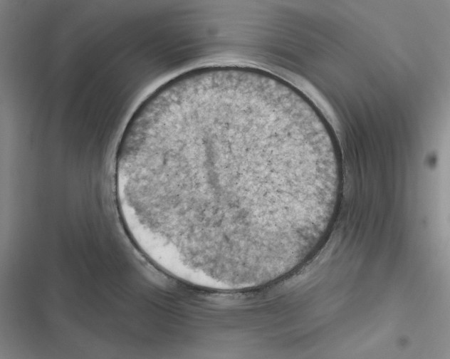 X0000116491388201001201354