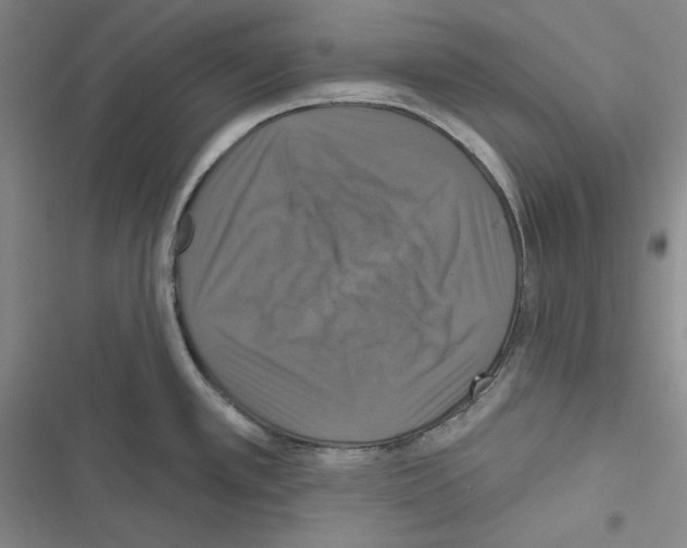 X0000116491389201001201354