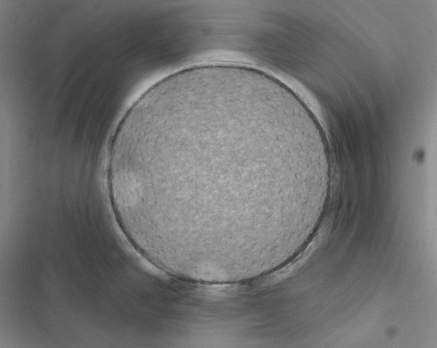 X0000116491390201001201354