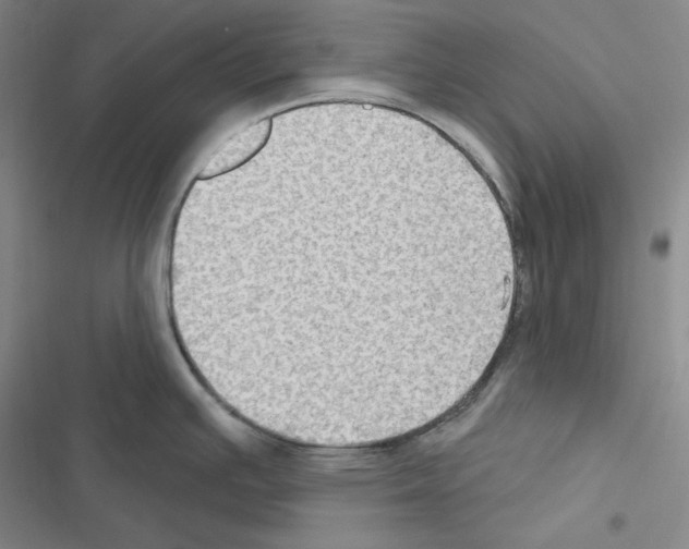 X0000116491391201001201354