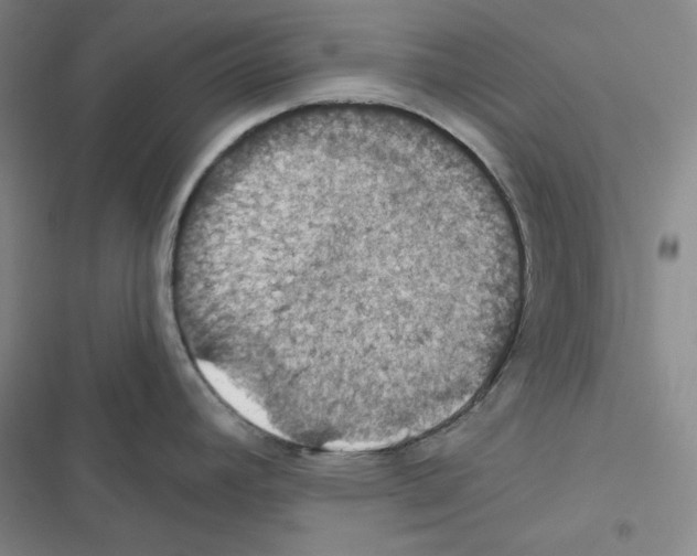 X0000116491392201001201354