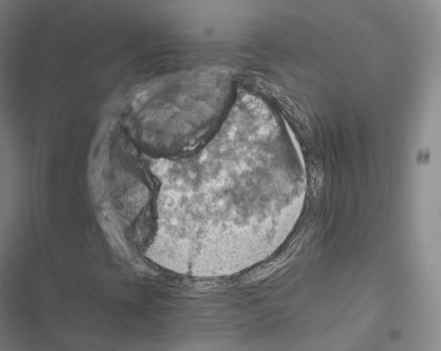 X0000116491393201001201353