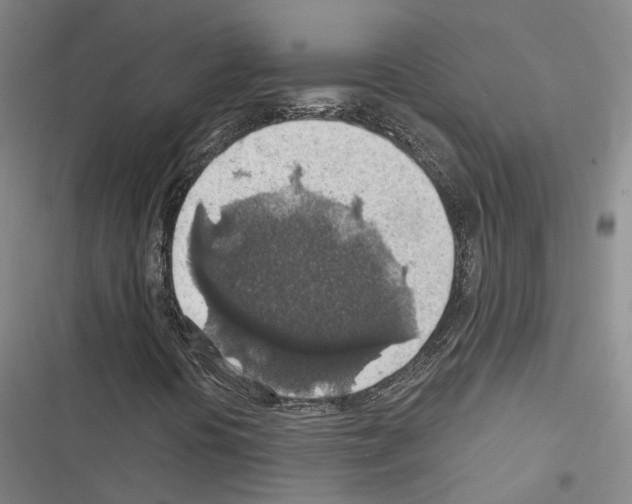 X0000116491394201001201353