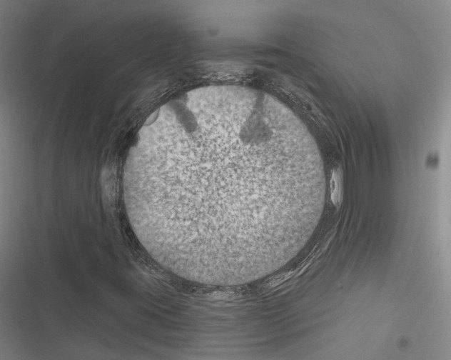 X0000116491395201001201353