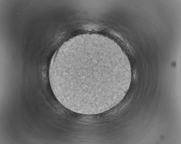 X0000116491396201001201353