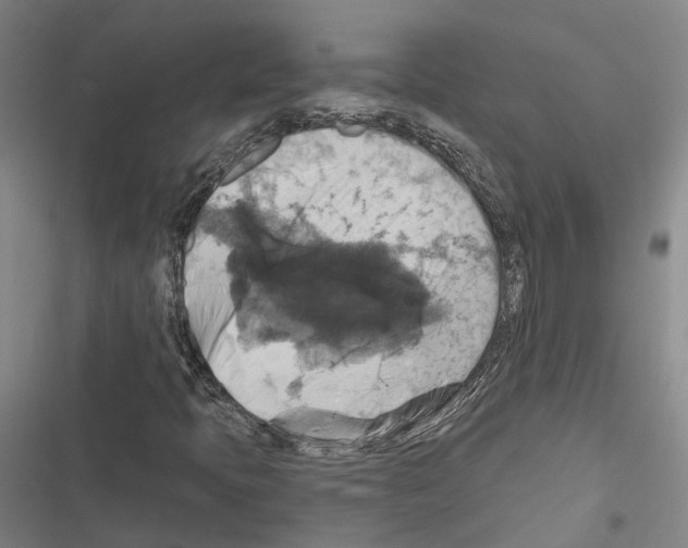 X0000116491397201001201353