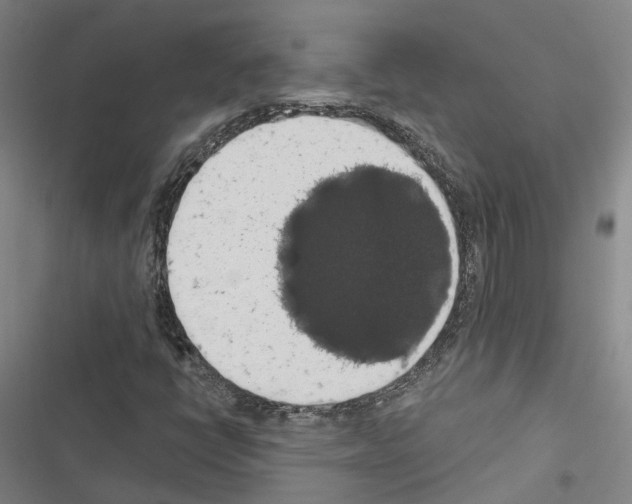 X0000116491398201001201353