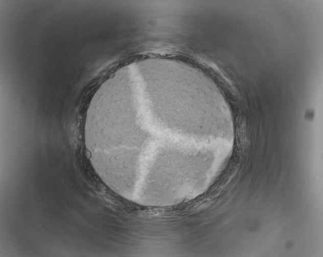 X0000116491399201001201353