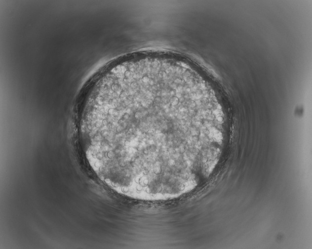 X0000116491400201001201353