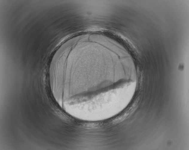 X0000116491401201001201353