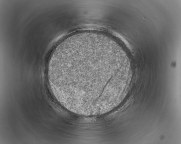 X0000116491403201001201353