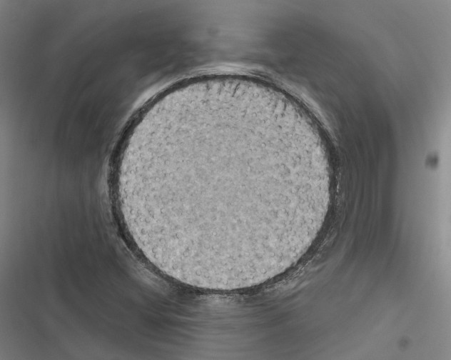 X0000116491404201001201353