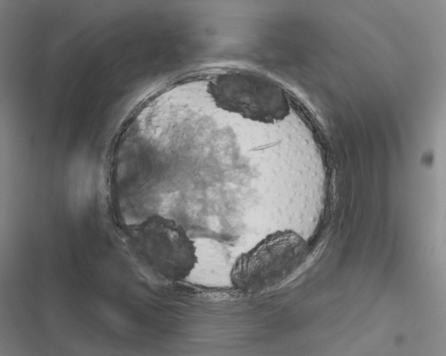 X0000116491405201001201353