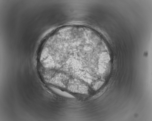 X0000116491406201001201353