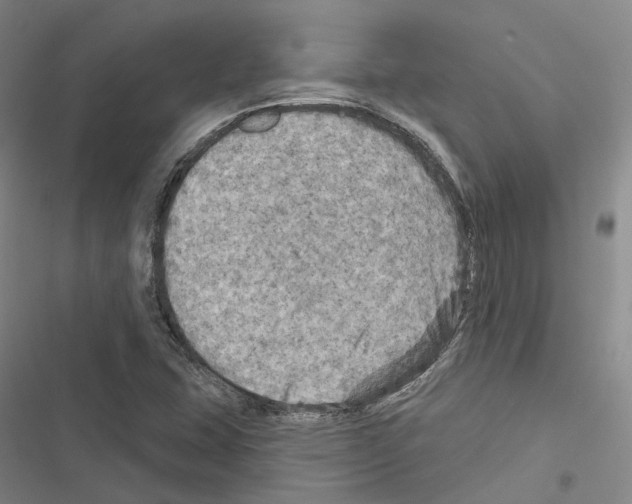 X0000116491407201001201353