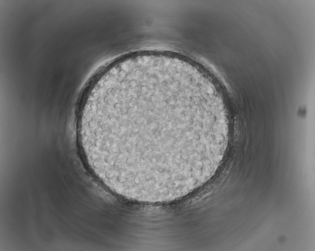 X0000116491408201001201353