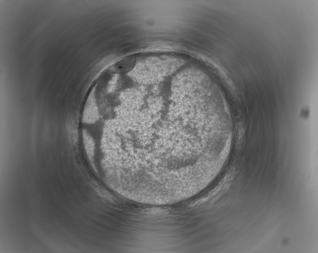 X0000116491409201001201353