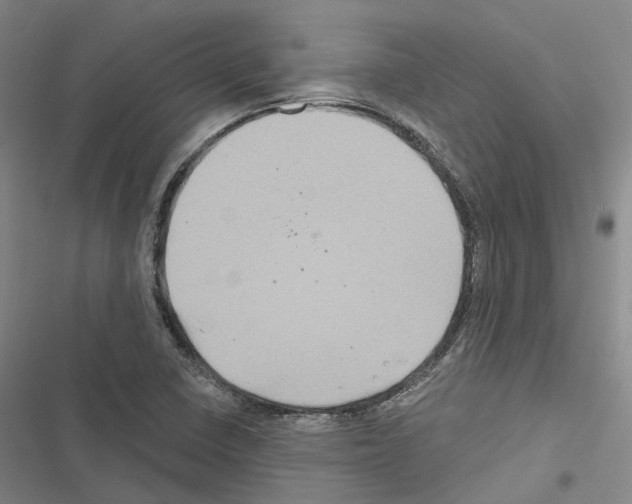 X0000116491410201001201353