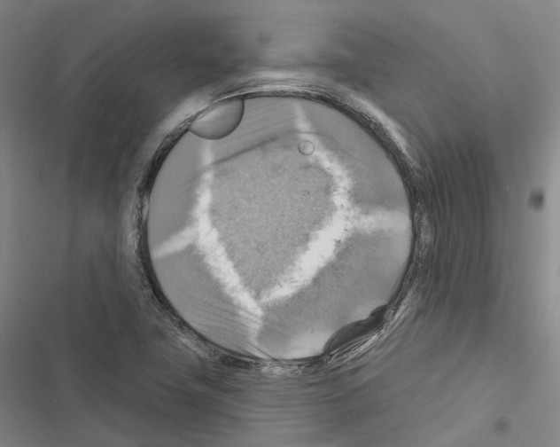 X0000116491411201001201353