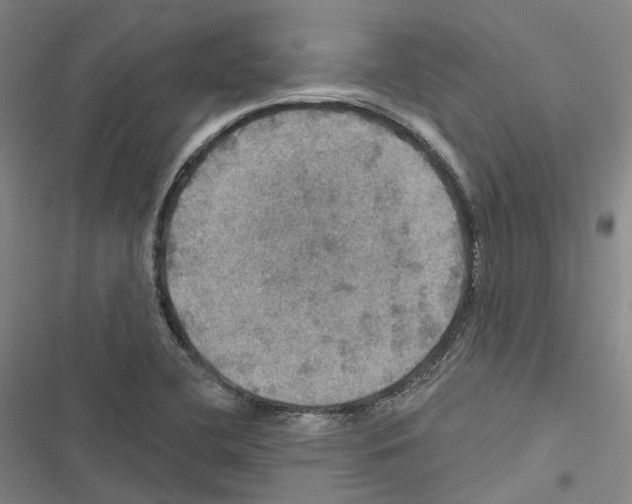 X0000116491412201001201354