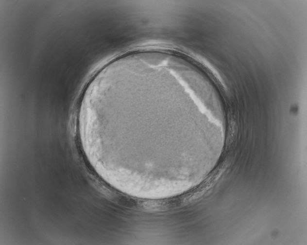 X0000116491413201001201354