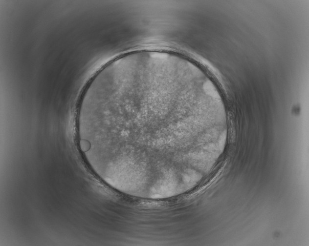 X0000116491415201001201354