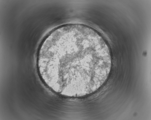 X0000116491416201001201354