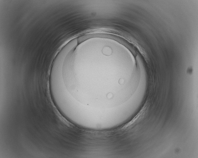 X0000116491417201001201354