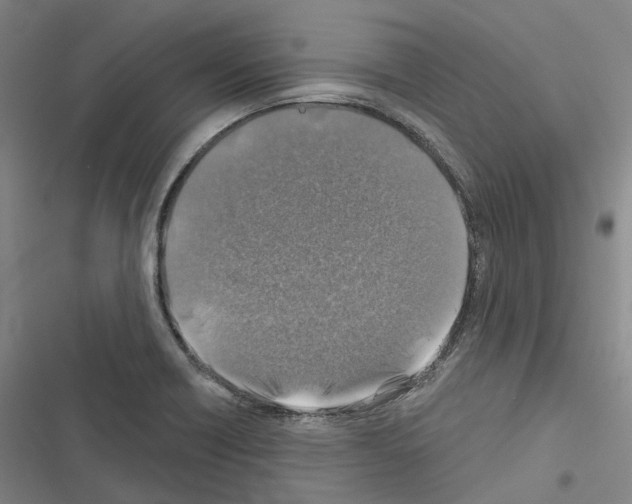 X0000116491418201001201354