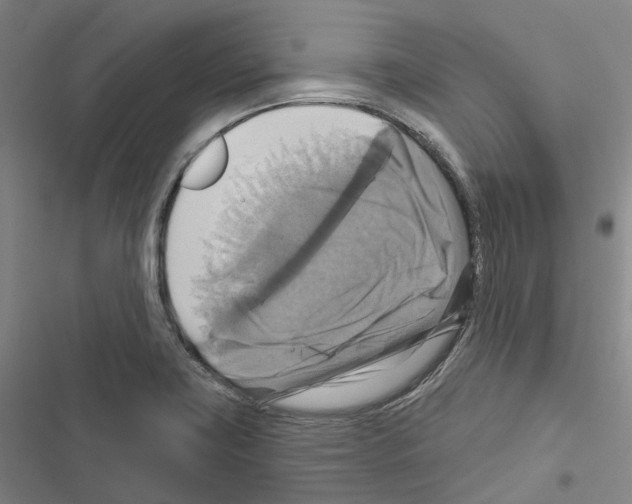 X0000116491419201001201354